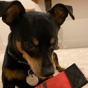 Meet your Posher, Denise